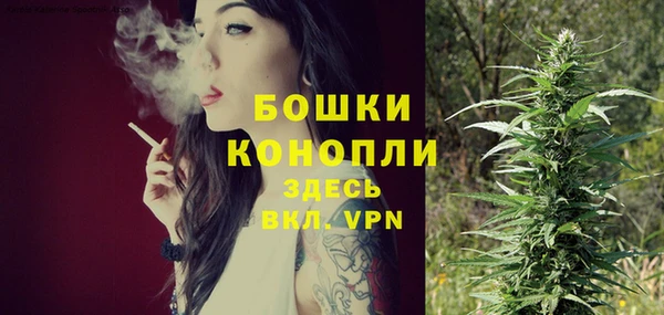не бодяженный Заводоуковск