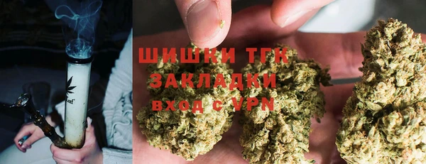 не бодяженный Заводоуковск