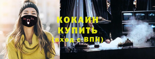 не бодяженный Заводоуковск