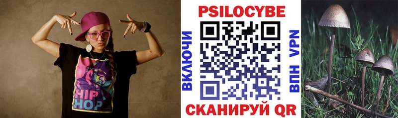 Купить  Мурино  Псилоцибиновые грибы Cubensis 